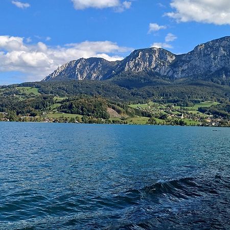 Ferienwohnung Claudia Mit Terrasse Nussdorf am Attersee Bagian luar foto