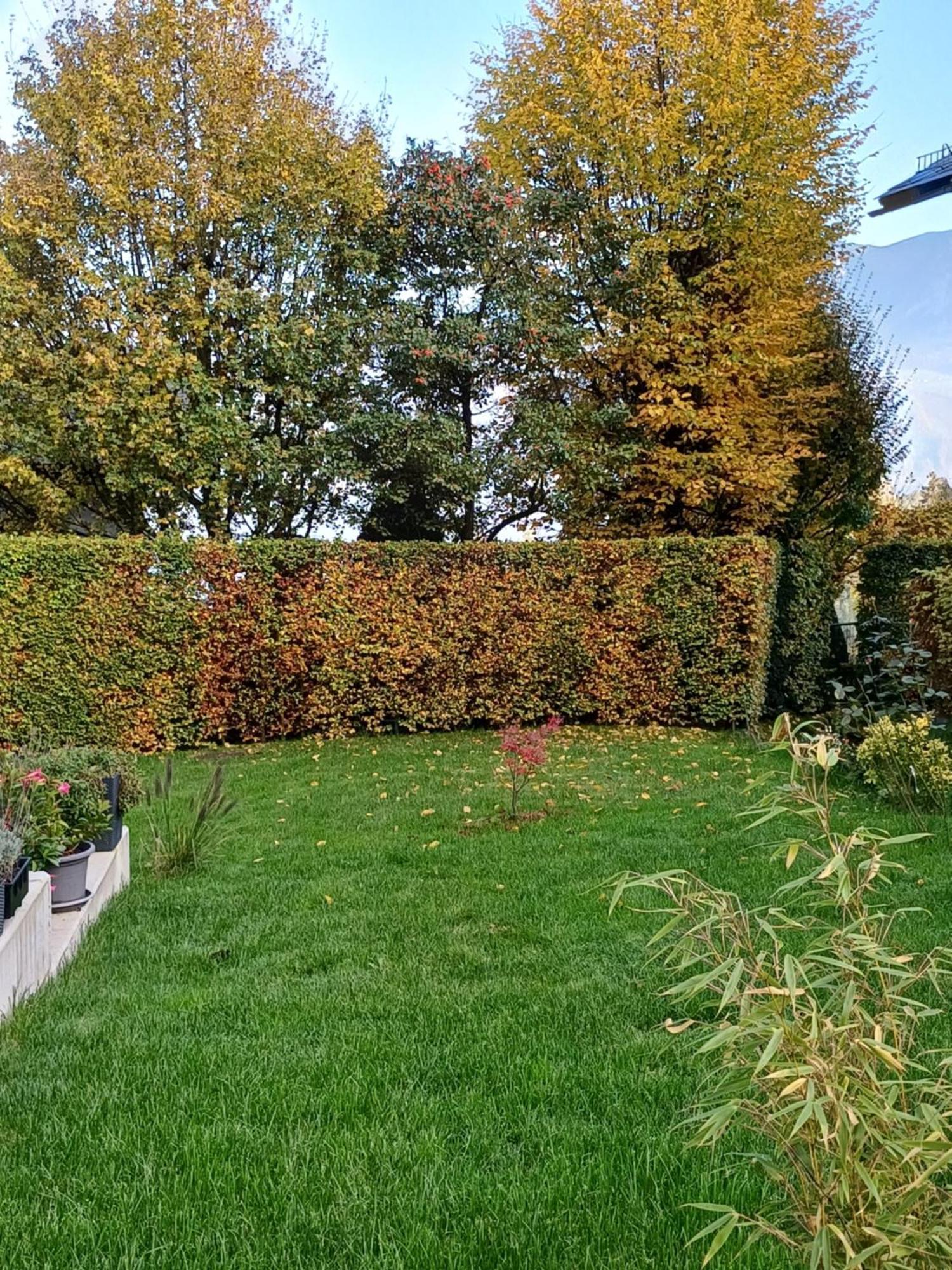 Ferienwohnung Claudia Mit Terrasse Nussdorf am Attersee Bagian luar foto